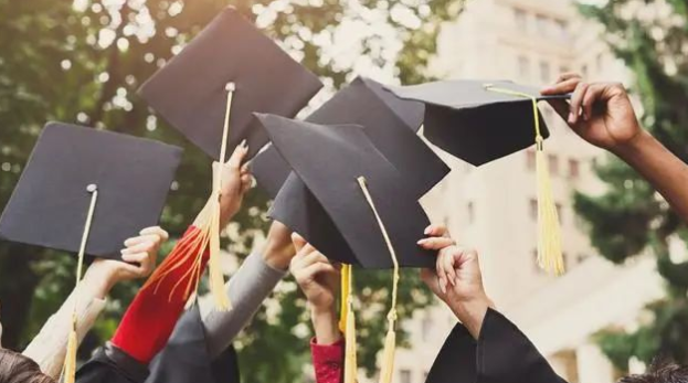 1667030206303411.png image.png